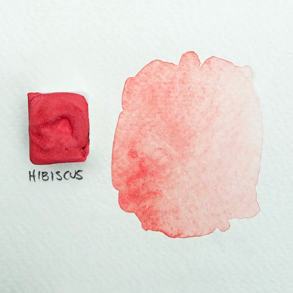HIBISCUS