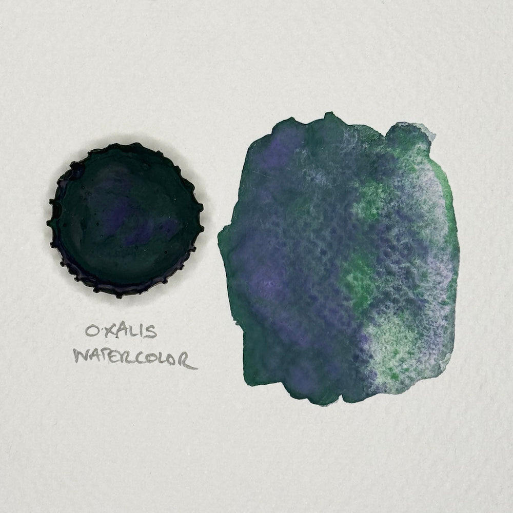 OXALIS WATERCOLOR